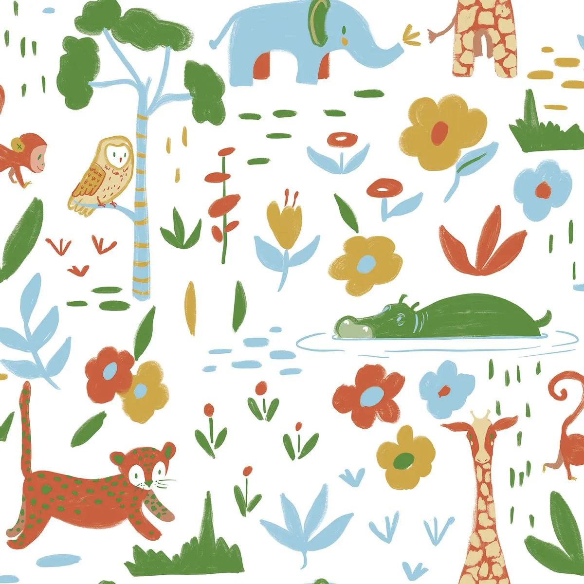 Safari - Sonhos