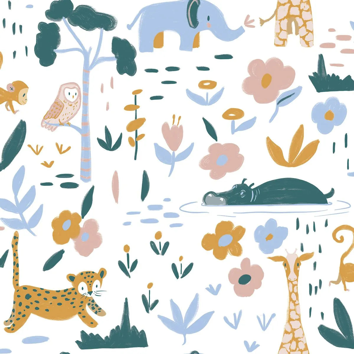 Safari - Sonhos