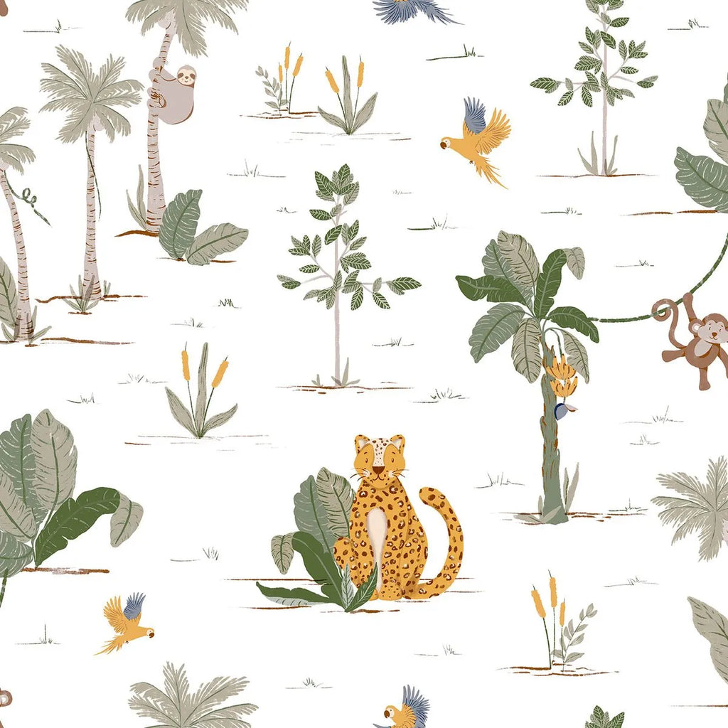 Safari - Sonhos
