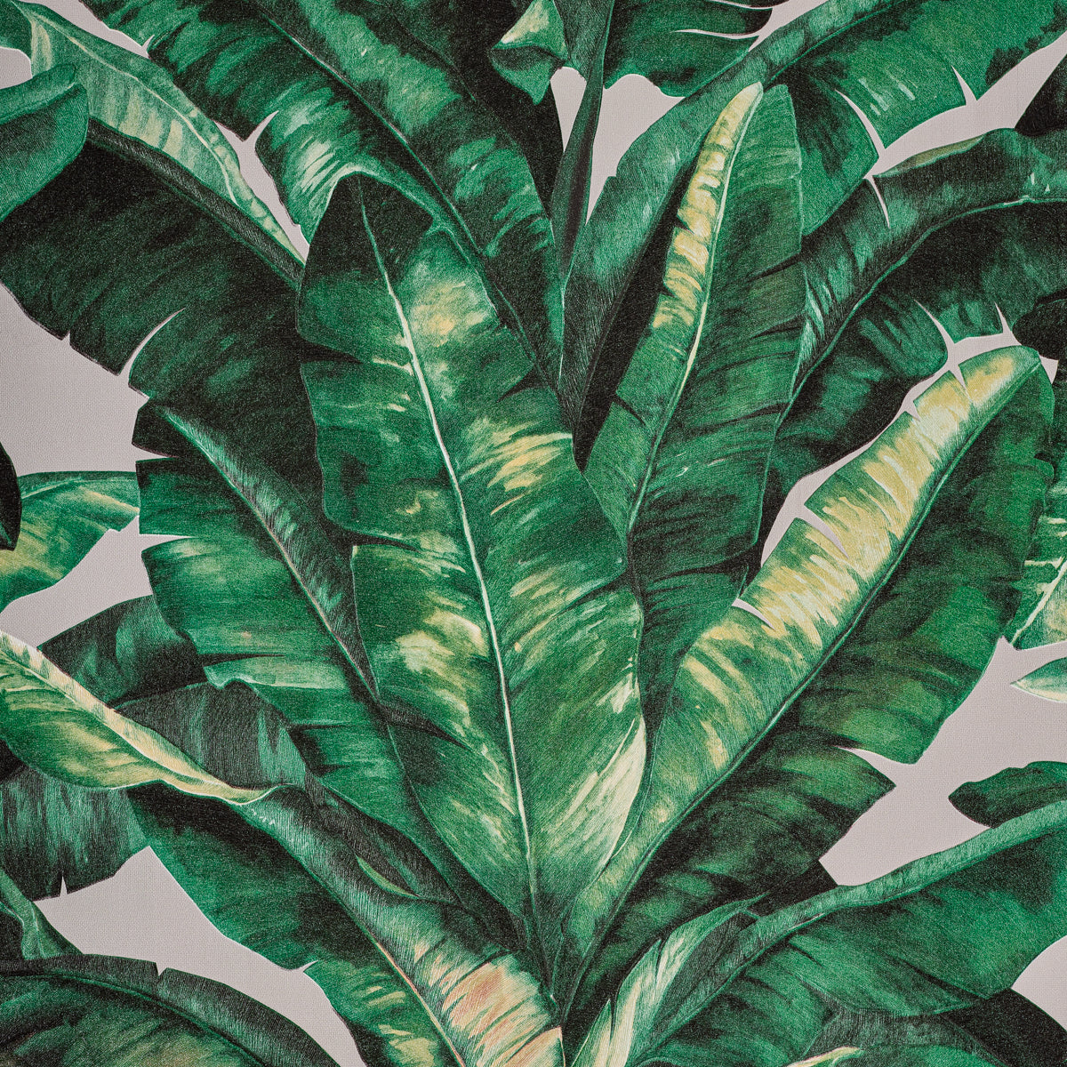 TROPICAL BOTÂNICO BELIZE