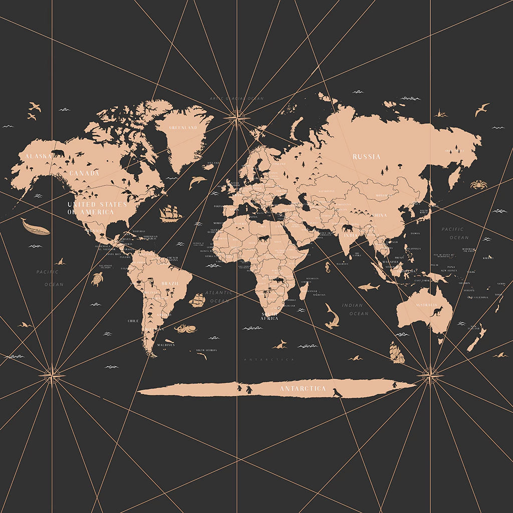 Papel de Parede Non Woven Mapa Mundi Preto