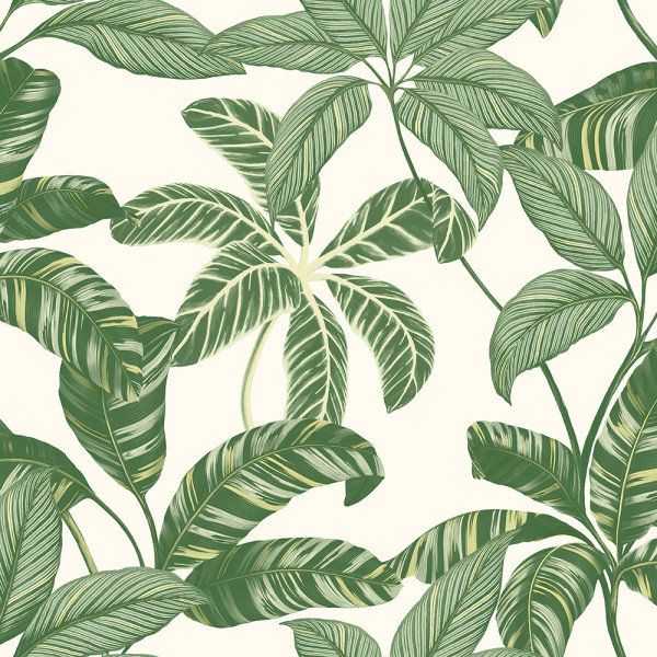 CONTEMPORANÊO - 4100