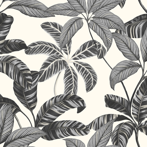 CONTEMPORANÊO - 4101