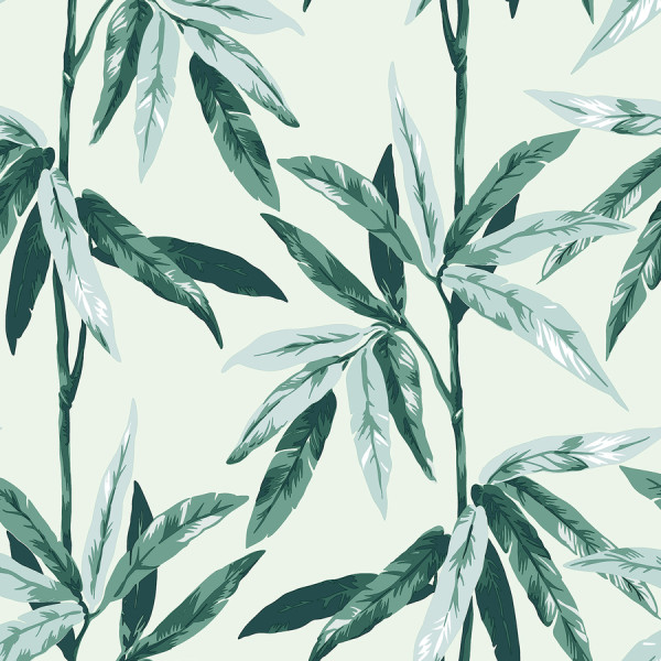 Elegance 4 - EL203701R