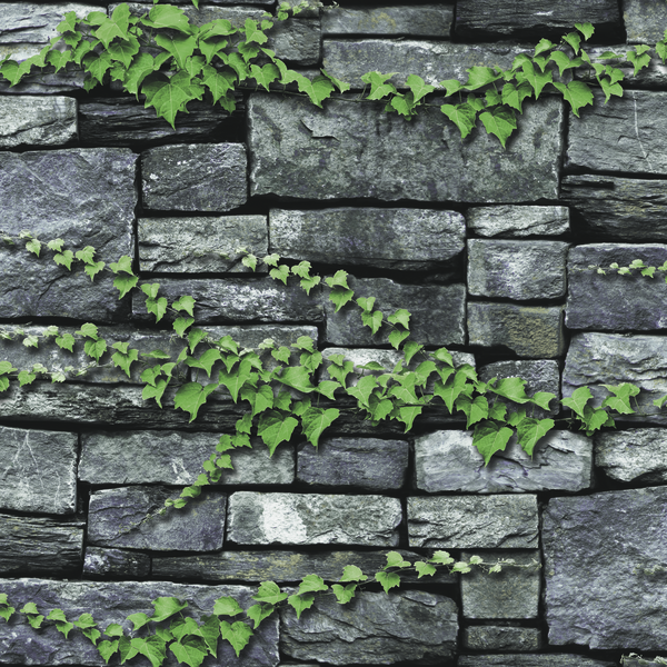 NEONATURE 5 - 5N856401R 