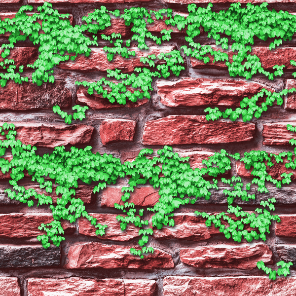 STONE AGE - 5N856902R 