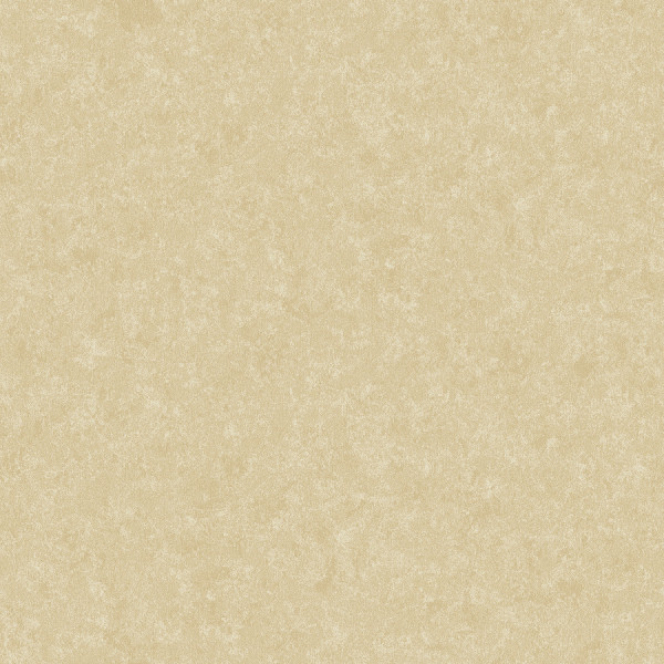 POET CHART 3 - PT971003R