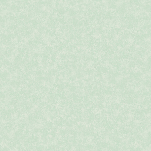 POET CHART 3 - PT971405R