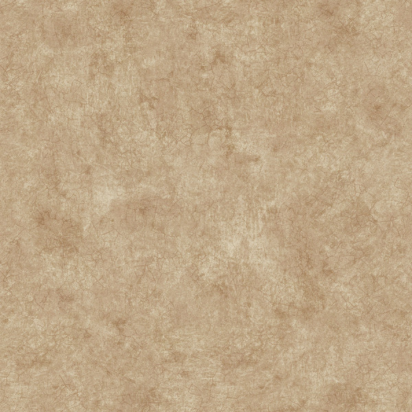 POET CHART 3 - PT971601R