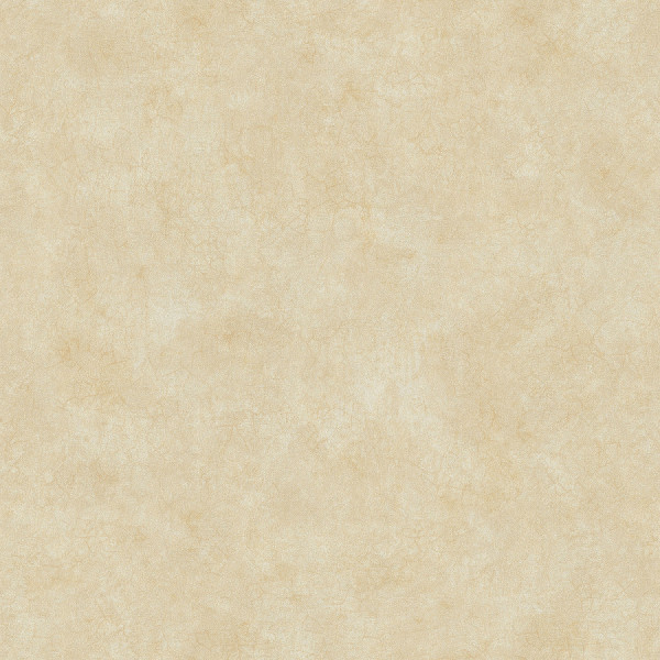 POET CHART 3 - PT971603R