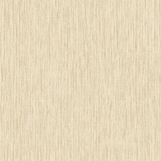 SPACE V - 5S285504R