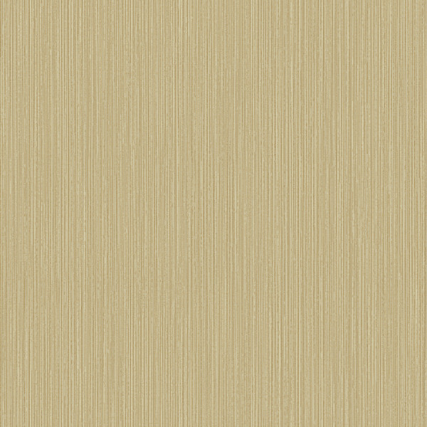 SPACE VIII - 8S288706R
