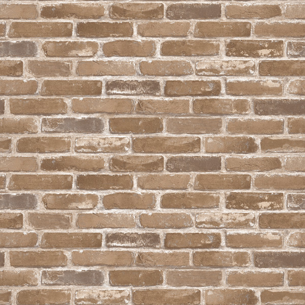 NEONATURE 4 - 4N854601R 