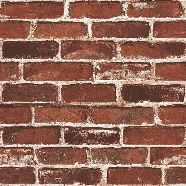 STONE AGE - SN600003R