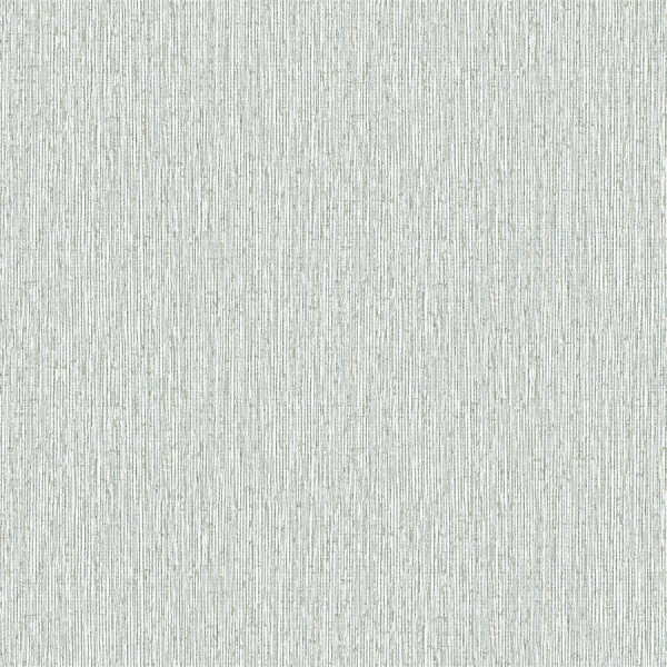 Vision - VI800606R