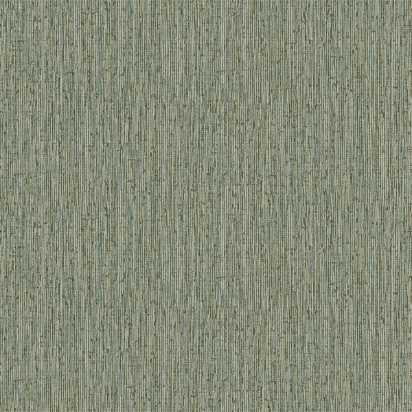 Vision - VI800608R