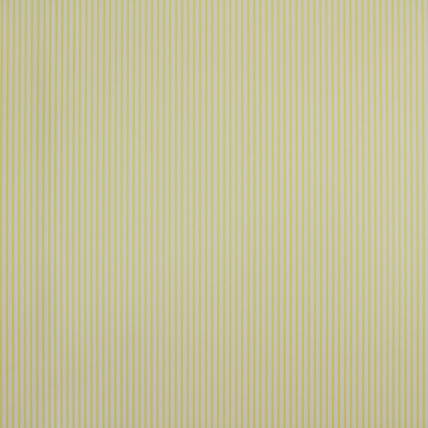 CLASSIC STRIPES - CT889028