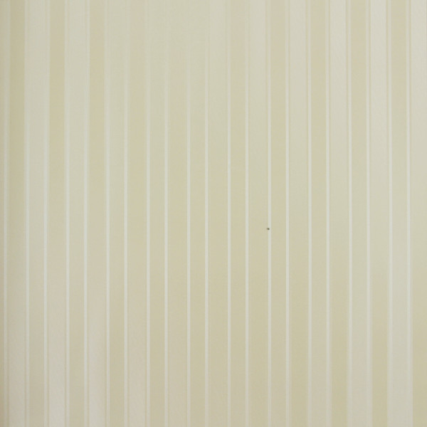 CLASSIC STRIPES - CT889070