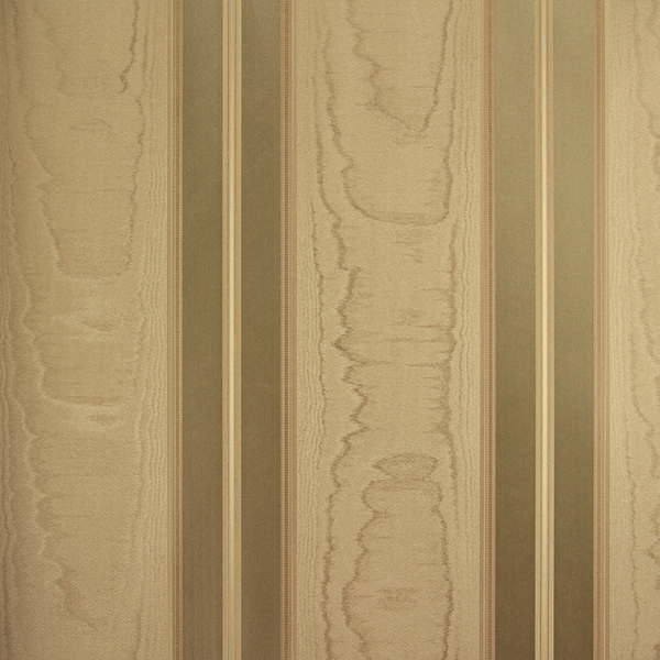 CLASSIC STRIPES - CT889114