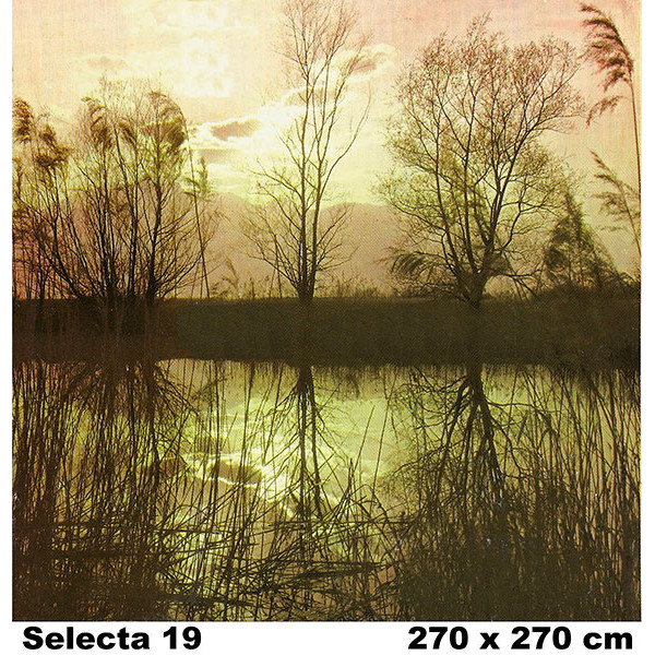 KOMAR - 019