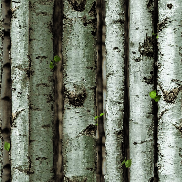 NEONATURE 5 - 5N855301R